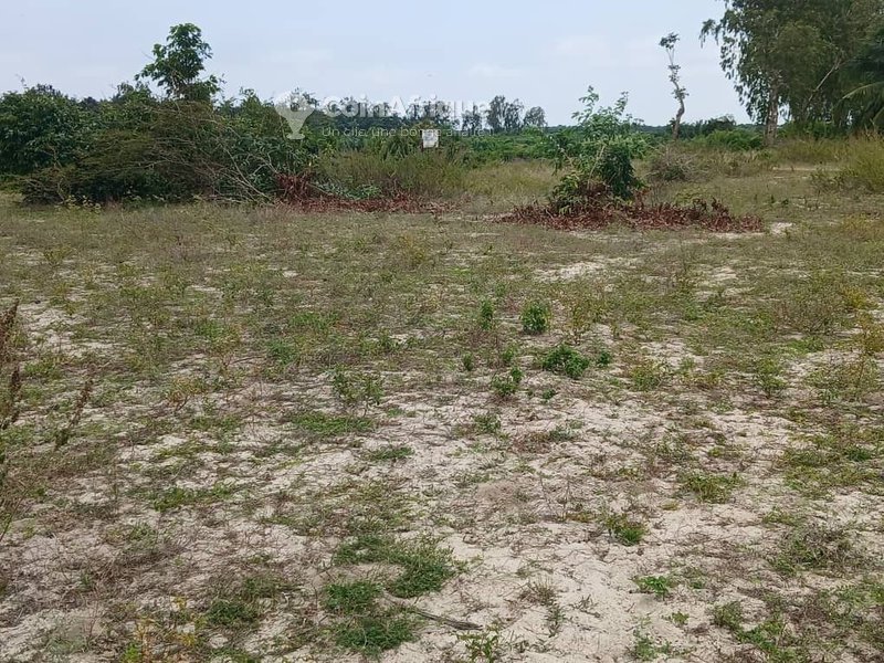 2 parcelles à vendre