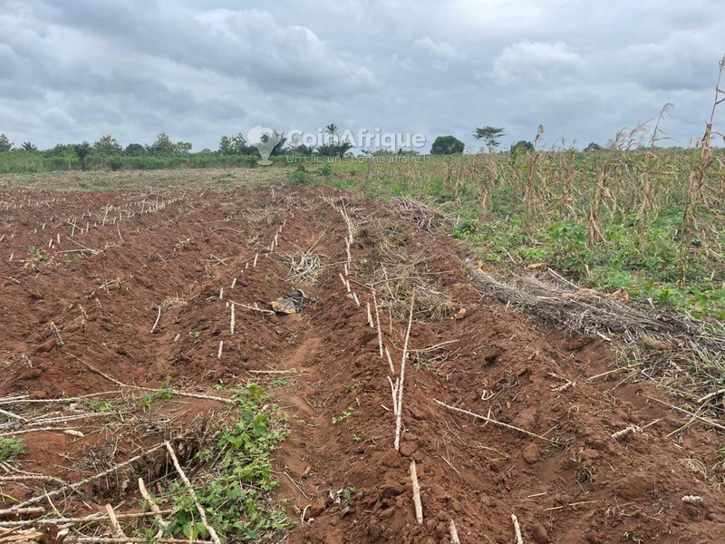 Terrain sécurisé de 450m² avec électricité disponible – Paiement flexible