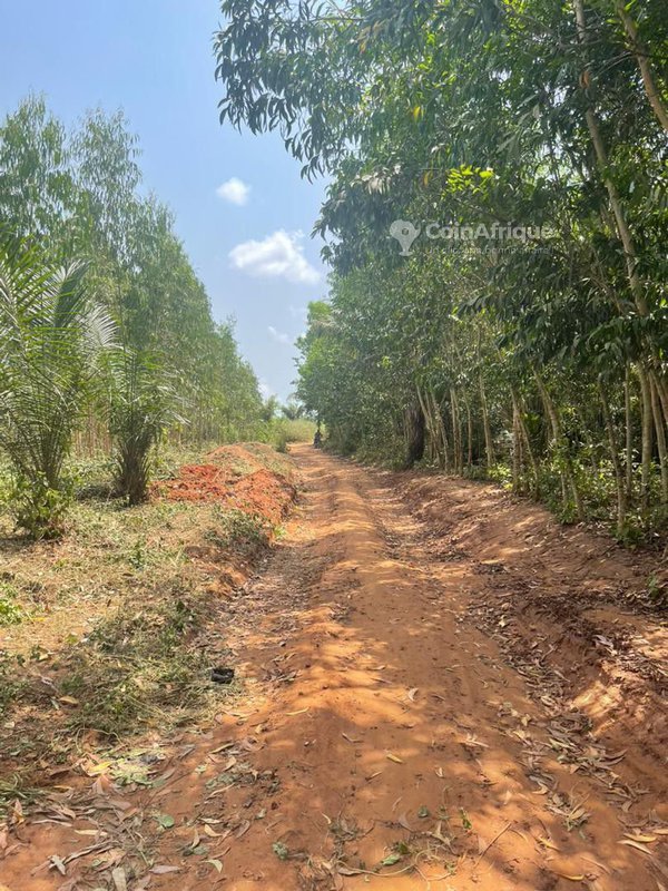 Terrain sécurisé de 450m² avec électricité disponible – Paiement flexible