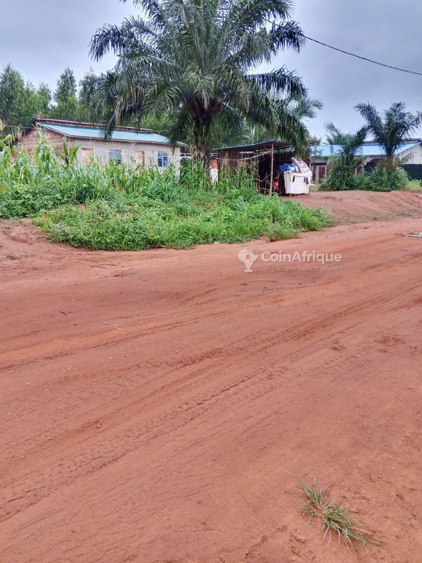 Terrain viabilisé et électrifié avec titre foncier sécurisé - Parcelles de 320 m²