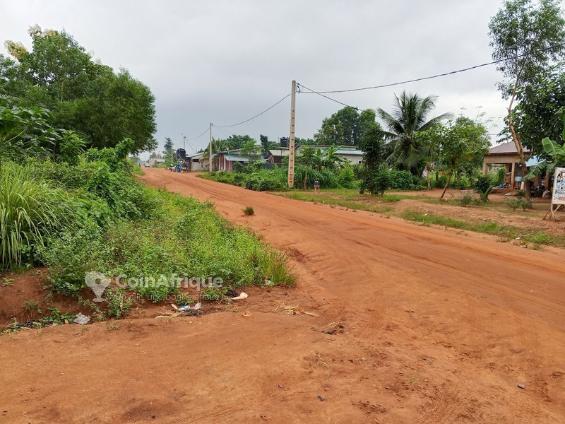 Terrain viabilisé et électrifié avec titre foncier sécurisé - Parcelles de 320 m²
