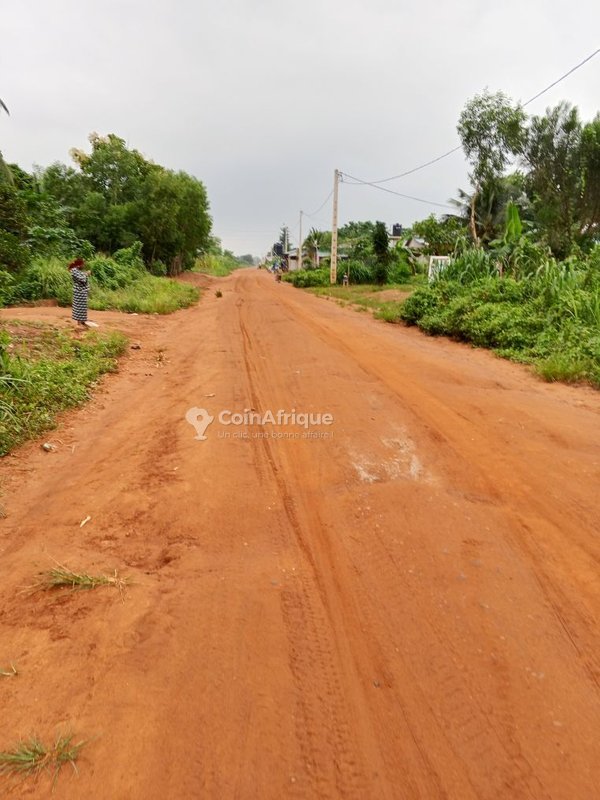 Terrain viabilisé et électrifié avec titre foncier sécurisé - Parcelles de 320 m²