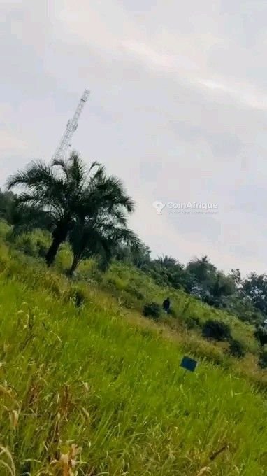 Terrain de 53 hectares avec emplacement stratégique au bord du goudron et documents légaux disponibles