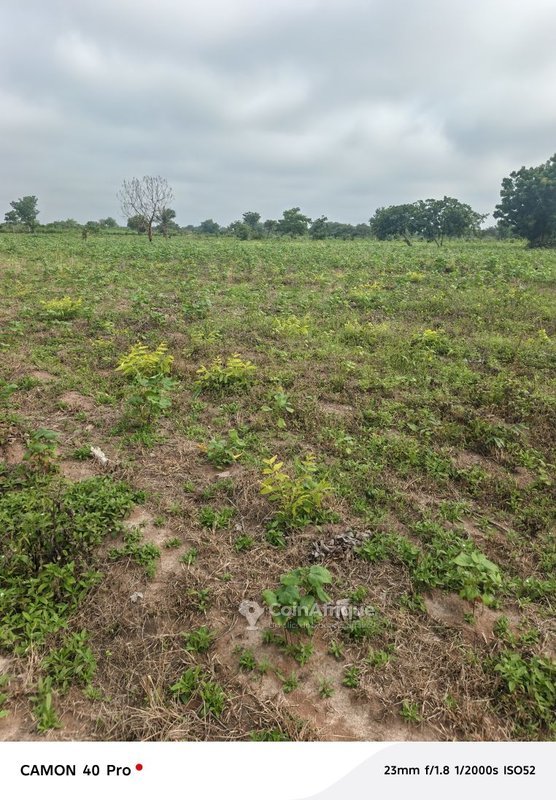 Terrain agricole exceptionnel de 1000 hectares - Fertilité et accessibilité toute l'année
