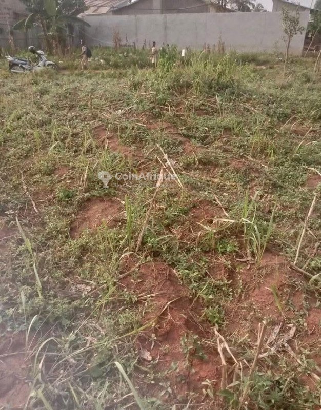 Terrain spacieux de 500 m² avec documents légaux complets à proximité immédiate du goudron