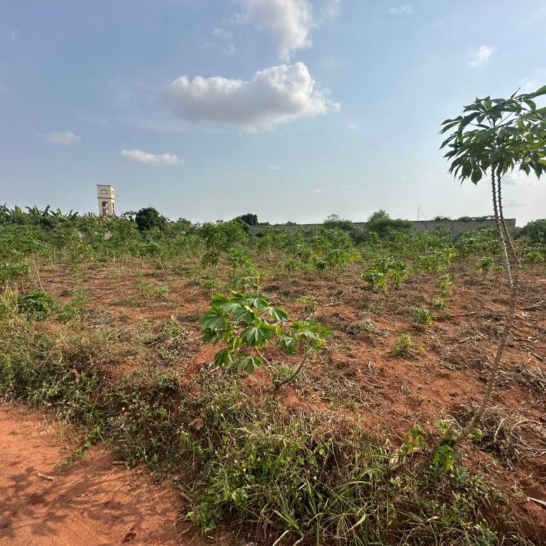 Terrain résidentiel de 2000m² avec Titre Foncier en angle de rue