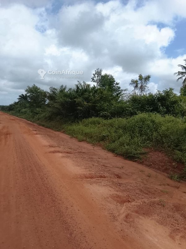 Terrain de 30 hectares avec emplacement stratégique et documents légaux complets