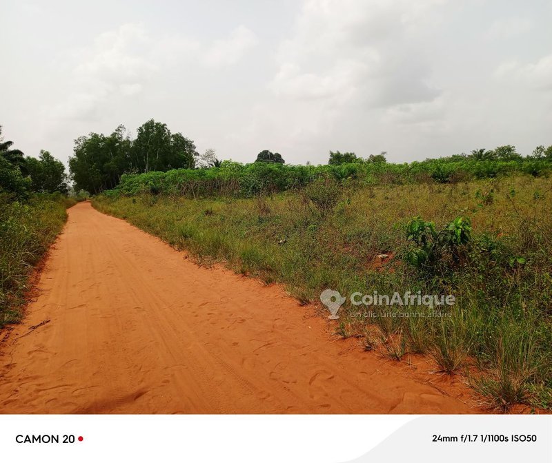 Terrain spacieux de 350 m² avec titre foncier global – Investissement idéal