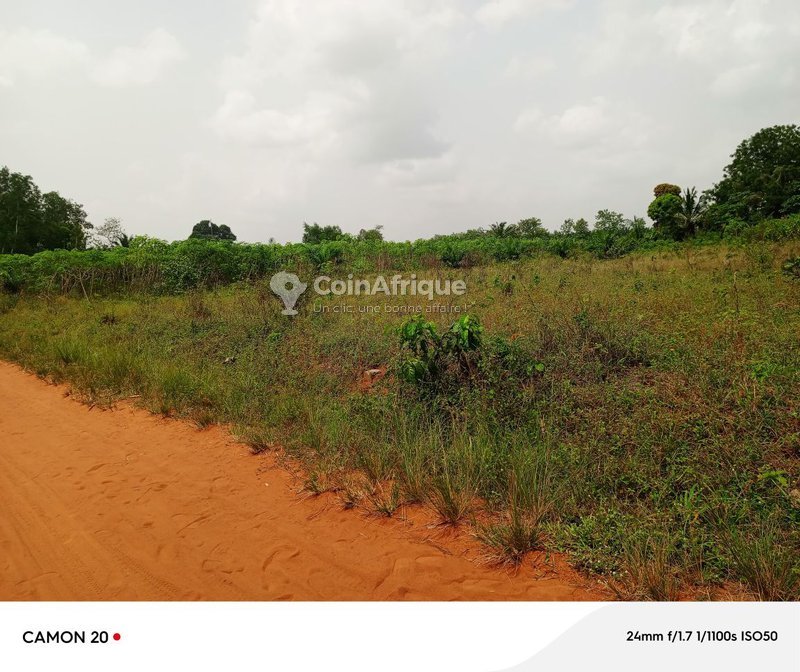 Terrain spacieux de 350 m² avec titre foncier global – Investissement idéal