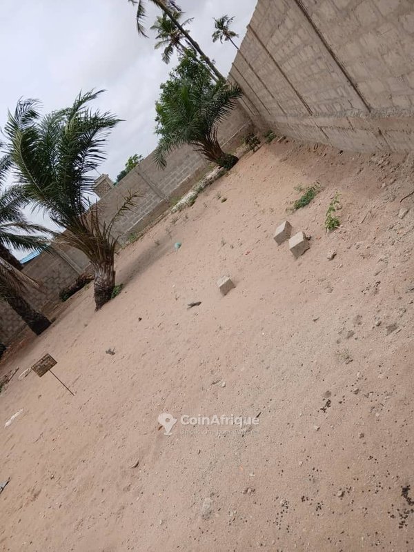 Terrain clôturé de 451 m² en bordure de grande voie pavée à Fidjrossè