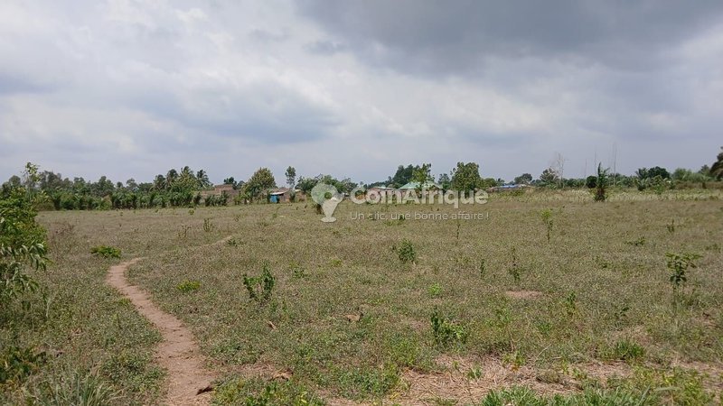 Terrain à vendre avec titre foncier et localisation stratégique près de la GDIZ