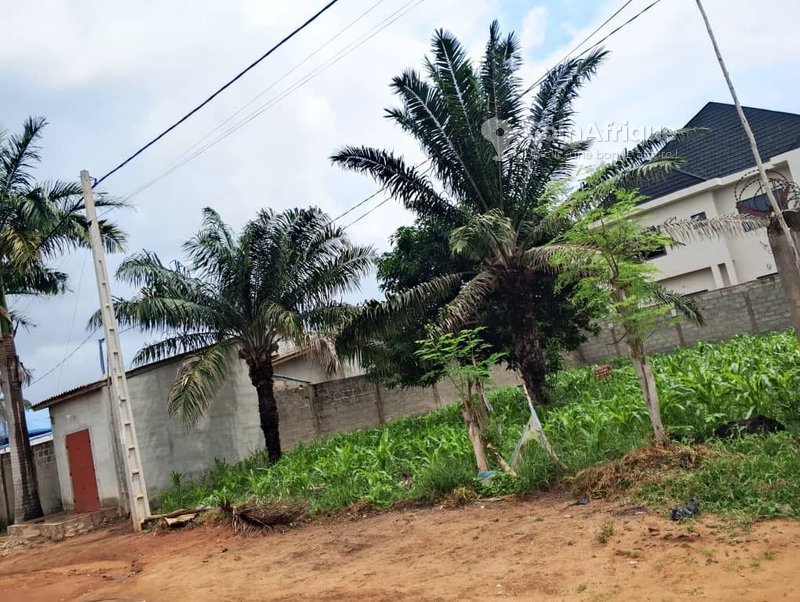 Terrain à vendre avec titre foncier - 375 m²