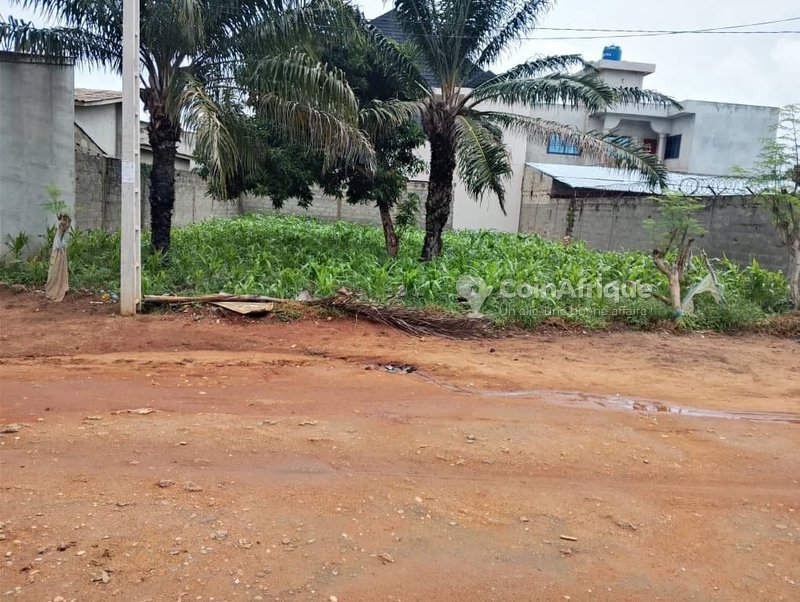 Terrain à vendre avec titre foncier - 375 m²