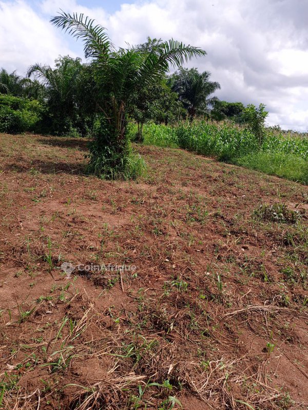 Terrain viabilisé de 500 m² en position stratégique près de l'axe inter-État