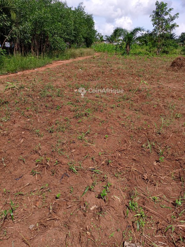 Terrain viabilisé de 500 m² en position stratégique près de l'axe inter-État