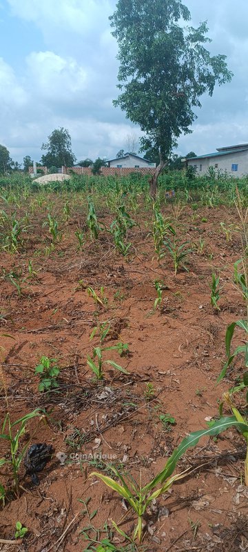 Terrain spacieux de 497 m² idéalement situé près des commodités