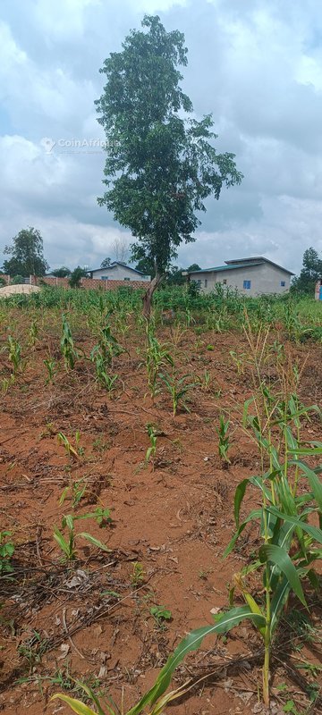 Terrain spacieux de 497 m² idéalement situé près des commodités