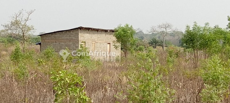 Terrain constructible de 500m² dans un cadre en développement à Awame Aligoudo