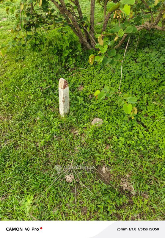 Domaine agricole spacieux et fertile de plusieurs dizaines d'hectares