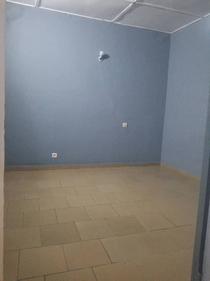 Appartement cosy de 2 pièces avec terrasse et arrière-cour privative