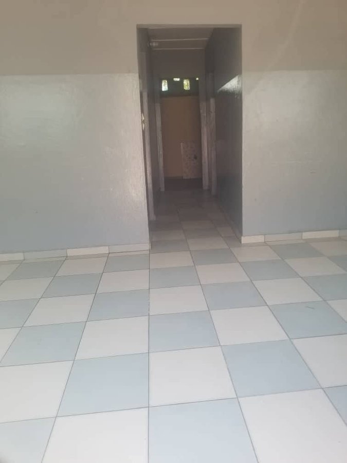 Appartement cosy de 2 pièces avec terrasse et arrière-cour privative