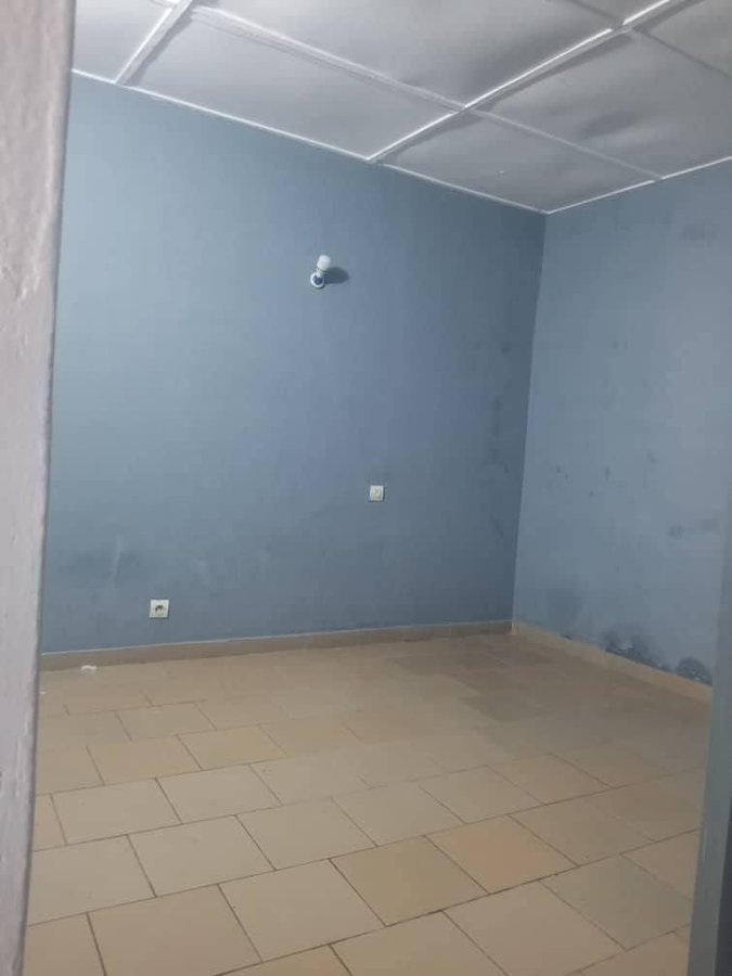 Appartement cosy de 2 pièces avec terrasse et arrière-cour privative