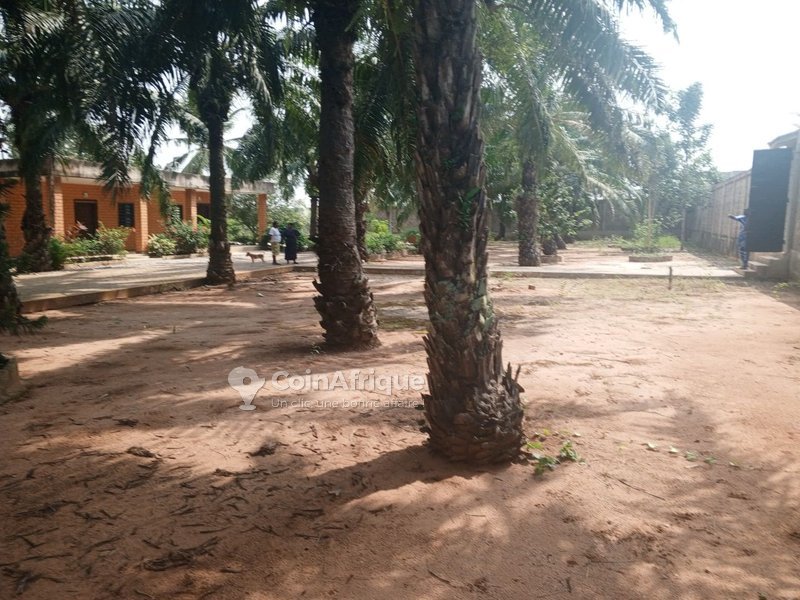 Terrain exceptionnel de 1003 m² avec titre foncier en position stratégique