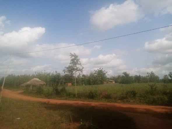 Terrain constructible de 500 m² avec eau et électricité disponibles