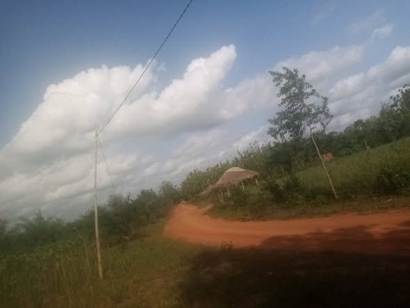 Terrain constructible de 500 m² avec eau et électricité disponibles
