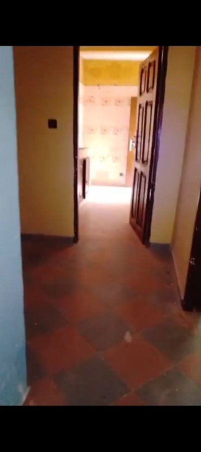 Appartement 1 pièce avec cuisine spacieuse et arrière-cour à proximité des pavés