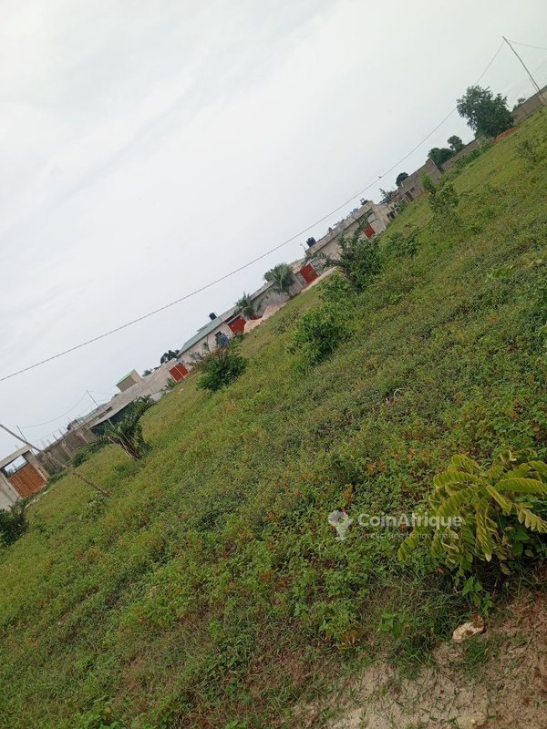 Terrain constructible de 350 m² dans un quartier résidentiel prisé