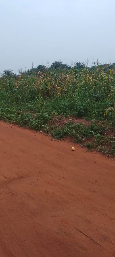 Terrain de 500 m² avec plans disponibles et paiement flexible