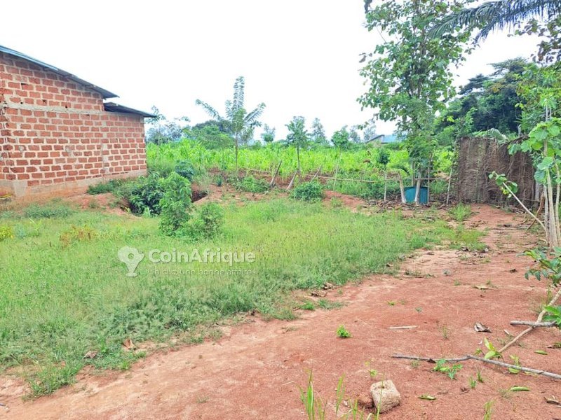 Terrain constructible de 500 m² avec deux chambres et documents légaux complets