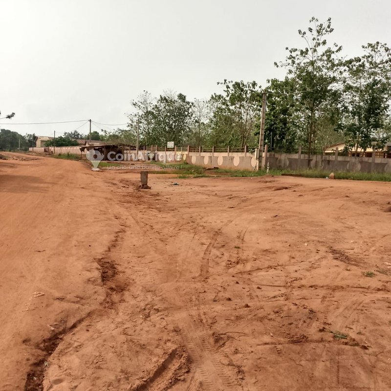 Terrain constructible de 450 m² en bordure de voie principale avec électrification