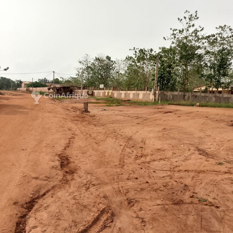 Terrain constructible de 450 m² en bordure de voie principale avec électrification