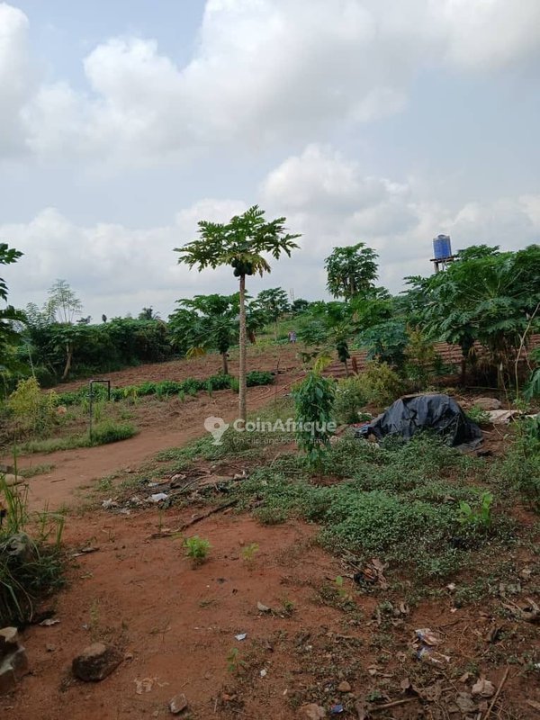 Terrain exceptionnel de 4004 m² avec titre foncier personnel