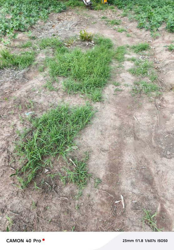 Domaine agricole exceptionnel de plusieurs centaines d'hectares avec potentiel illimité