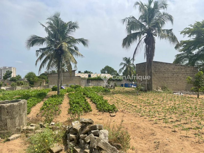 Terrain résidentiel viabilisé avec accès à deux voies et environnement sécurisé