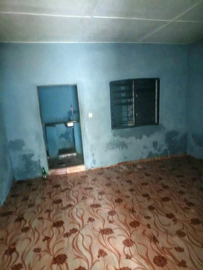 Appartement cosy d'une pièce avec salon et sanitaire modernes