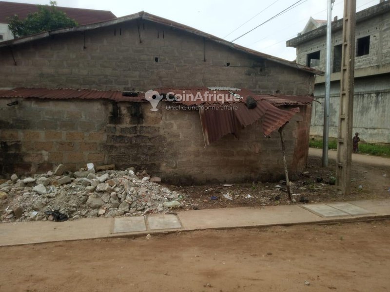 Terrain de 500 m² en angle de rue avec levée topographique et proximité immédiate du goudron inter-États