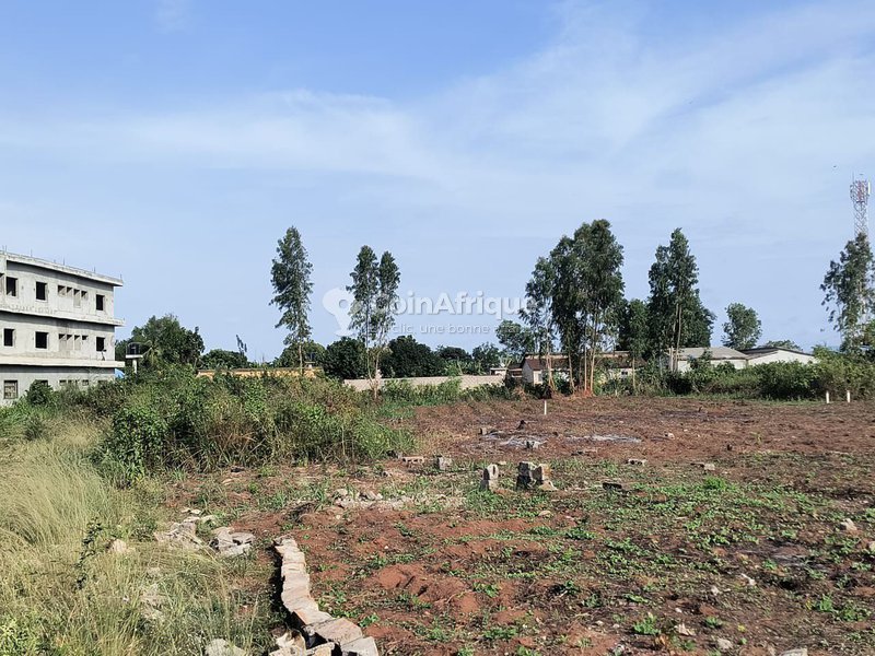 Terrain à vendre - 3 parcelles sécurisées avec titre foncier personnel et voies larges