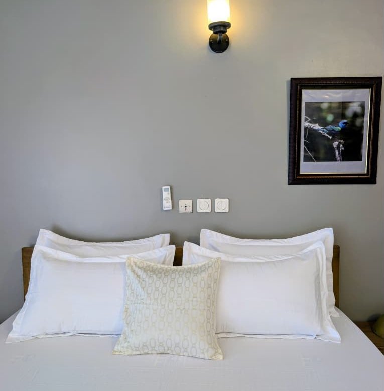 Appartement meublé 2 pièces avec climatisation et sécurité renforcée
