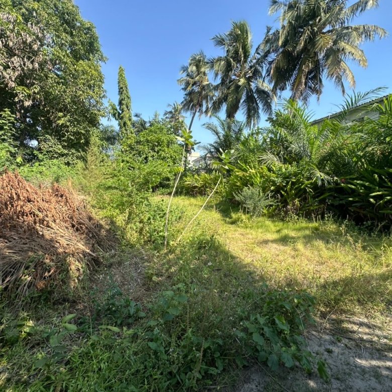 Terrain constructible avec titre foncier et parcelle clôturée - Idéal pour projet hôtelier ou résidentiel