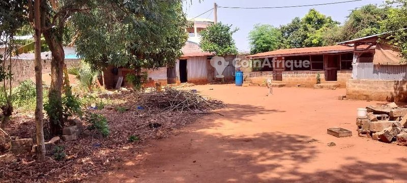 Terrain constructible de 327 m² avec titre foncier personnel à Cocotomey