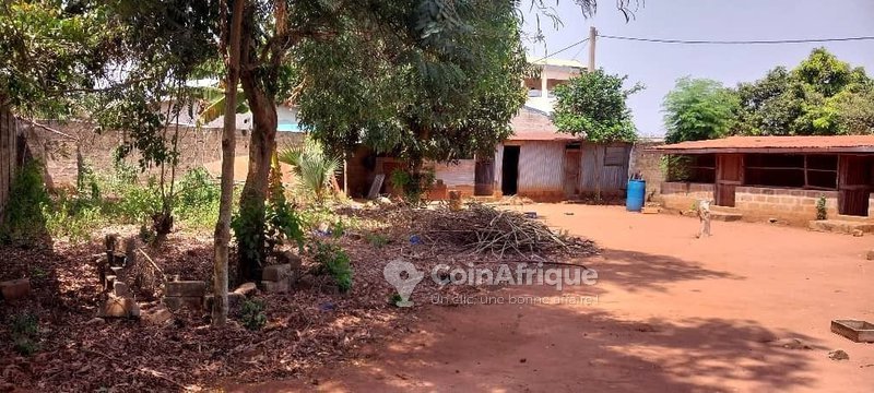 Terrain constructible de 327 m² avec titre foncier personnel à Cocotomey