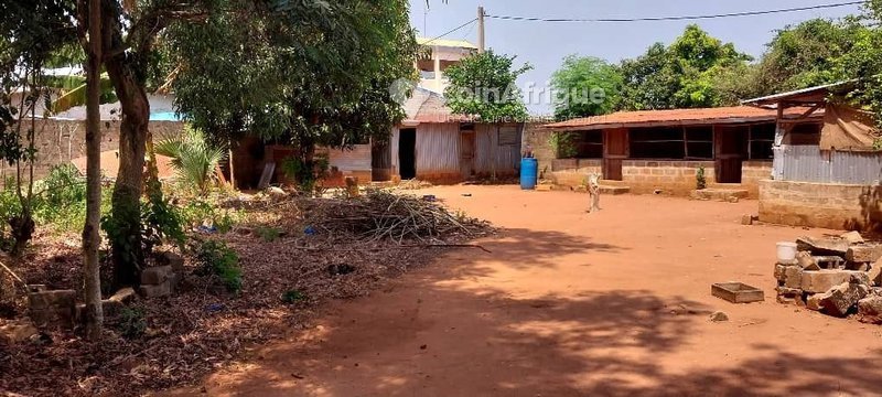 Terrain constructible de 327 m² avec titre foncier personnel à Cocotomey