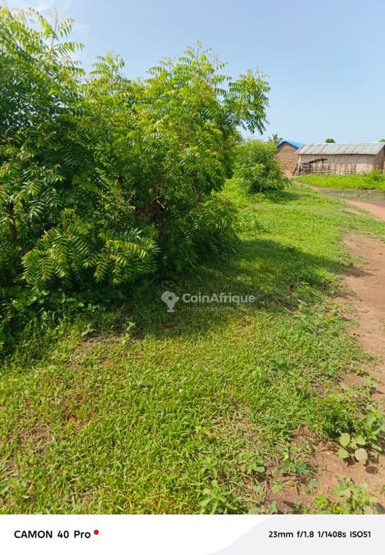 Terrain spacieux de vingt hectares avec accès facile à la route goudronnée