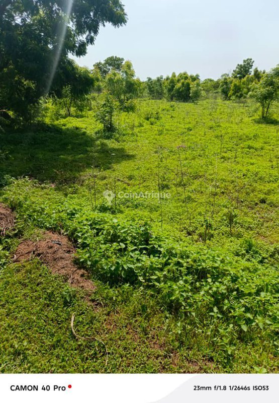 Terrain spacieux de vingt hectares avec accès facile à la route goudronnée