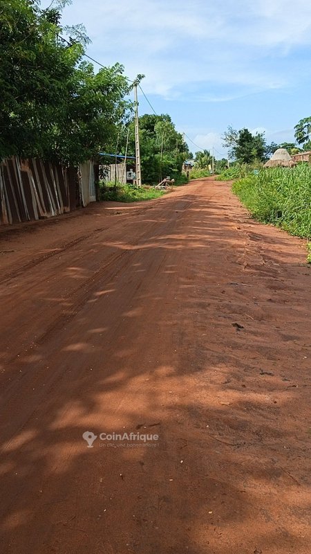 Terrain viabilisé de 350 m² avec titre foncier sécurisé