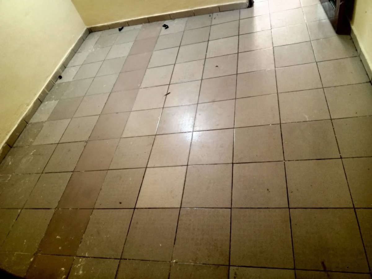 Appartement 1 pièce avec véranda et salon dallé spacieux